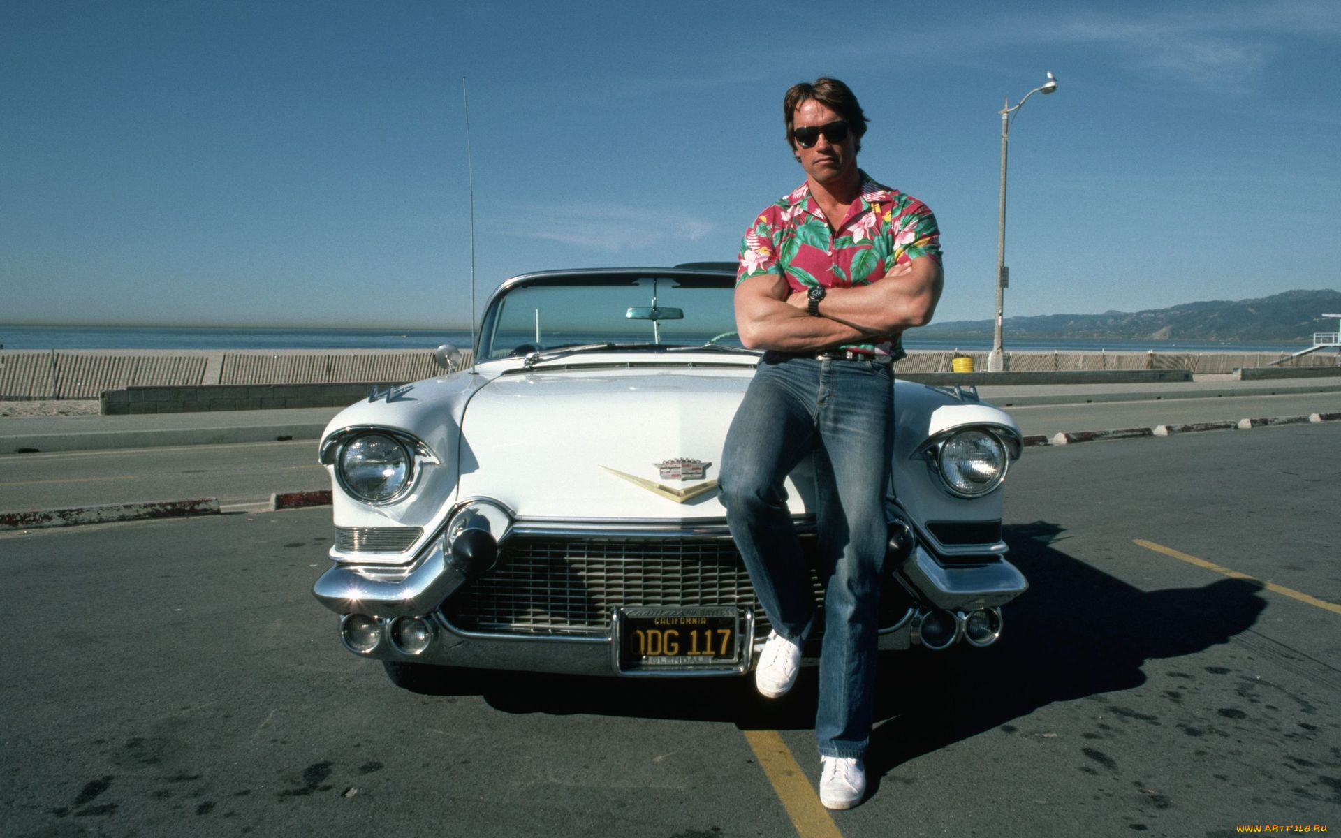 arnold, schwarzenegger, 